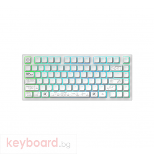 Геймърскa безжична клавиатура Dark Project ALU81A Terra Nova White RGB