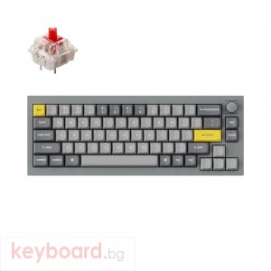 Геймърска Механична клавиатура Keychron Q2 Silver Grey Knob QMK 65% Gateron G Pro Red Switch RGB LED PBT