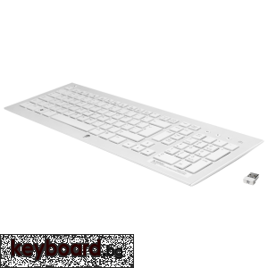 Клавиатура HP Wireless K5510 Keyboard