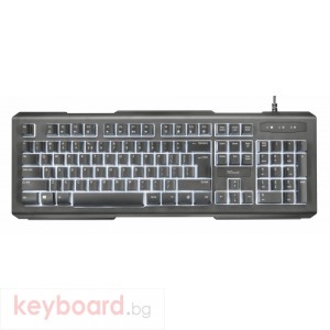 Клавиатура TRUST Lito Backlit Multimedia Keyboard