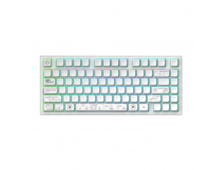 Геймърскa безжична клавиатура Dark Project ALU81A Terra Nova R2 White RGB